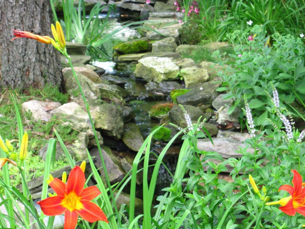 Baldwinsville Bed And Breakfast Exterior foto